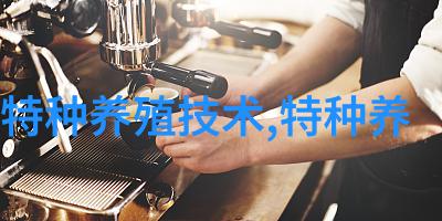 黑眉尖喙蛇