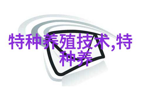 龟类新秀蛇鳄龟