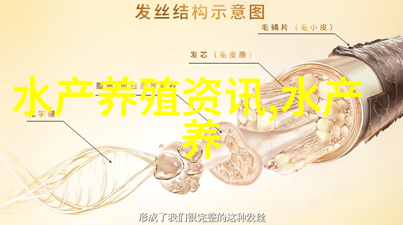 鲳鱼和金鲳鱼的区别