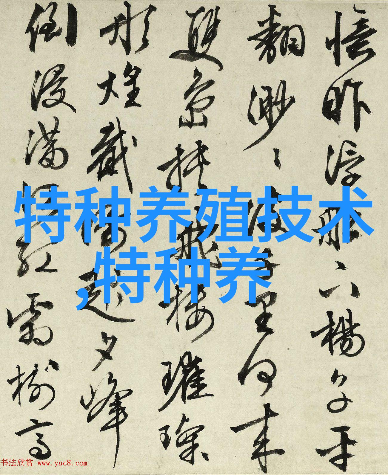 鸵鸟场的卫生防疫工作要点