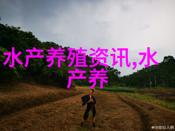 鲷鱼价格上扬
