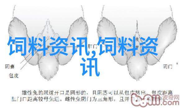 姜卫东推广裹包式青贮技术 推动农牧业新旧动能转换