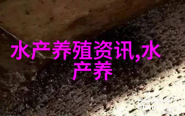 鲳鱼带鱼等海水鱼价格挺离谱