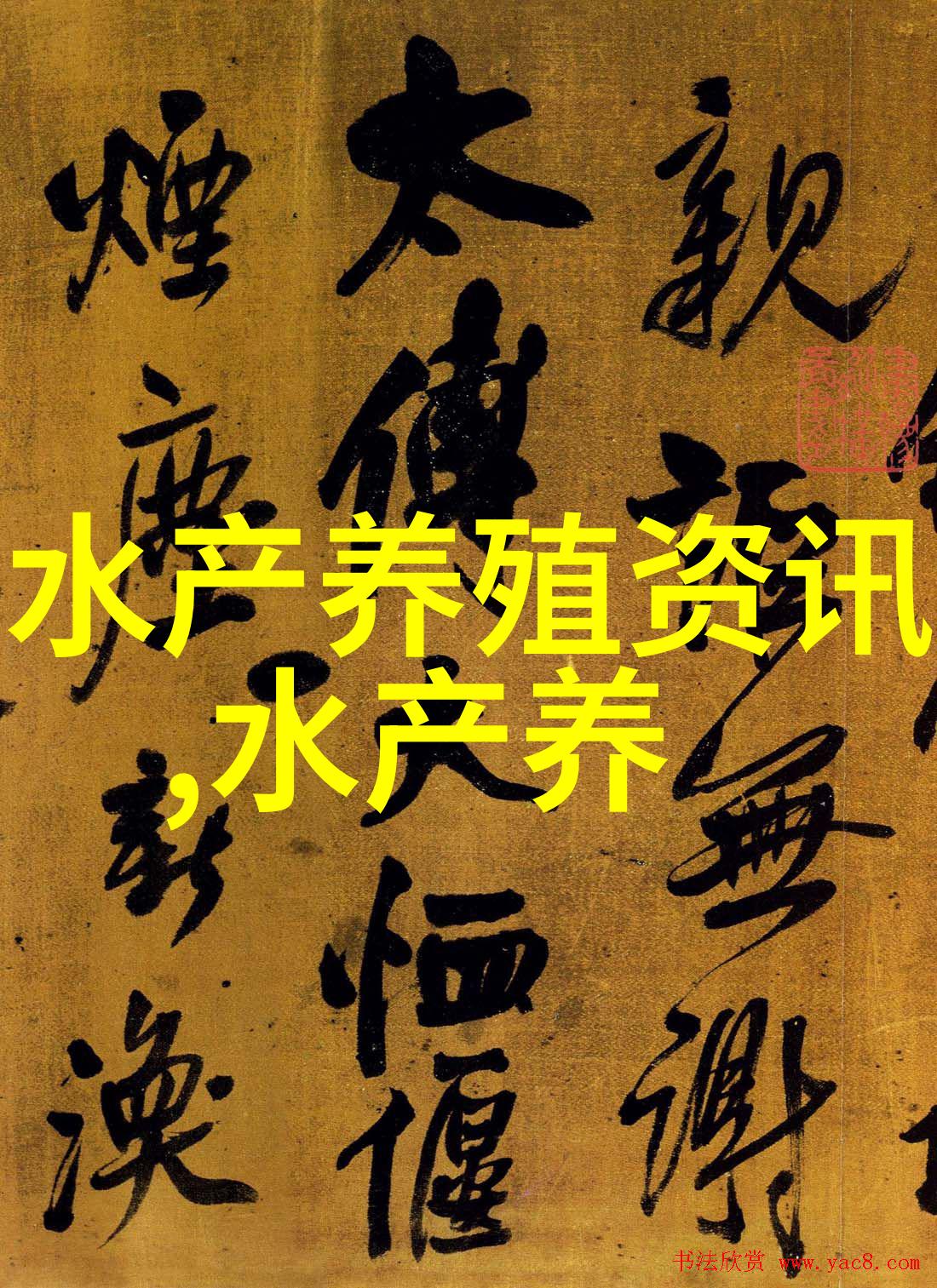 蛏子适宜的人群
