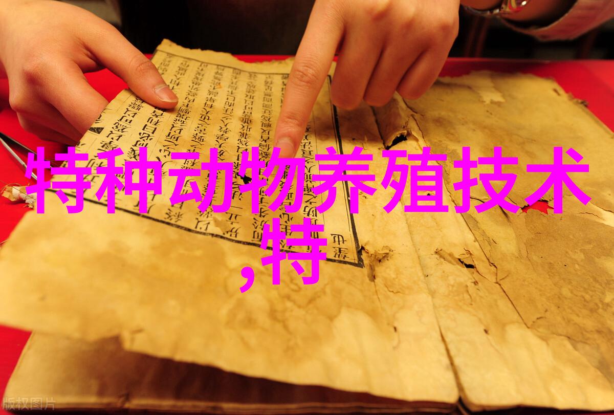 鸵鸟不同生长阶段饲养管理