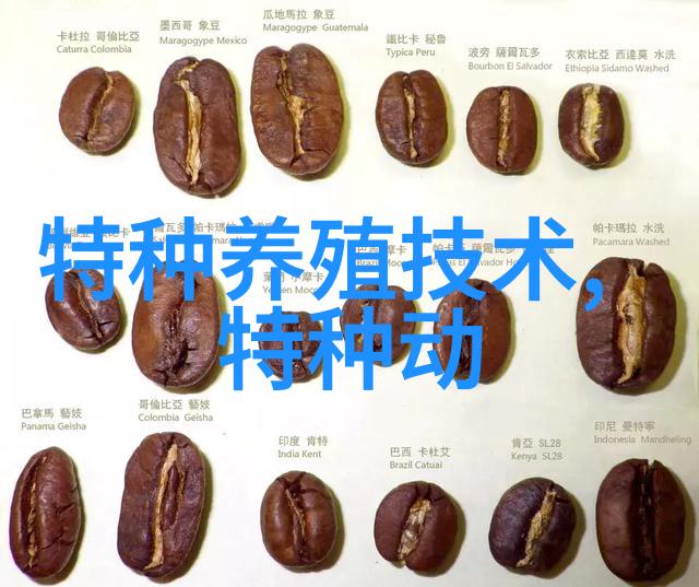 黑眉锦蛇